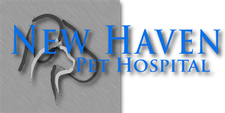 New Haven Pet Hospital