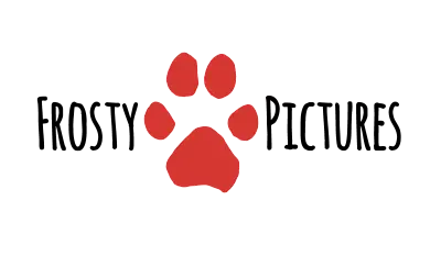 Logo for sponsor Frosty Pictures